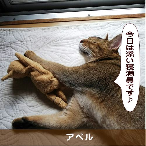 20181009_touko.jpg