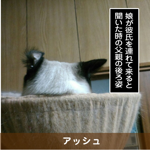 20181010_touko.jpg