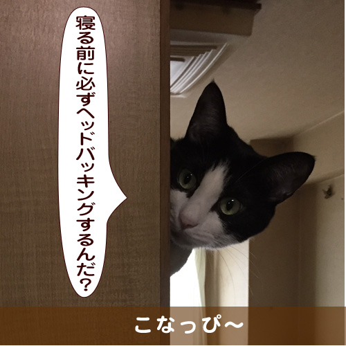 20181013_touko.jpg