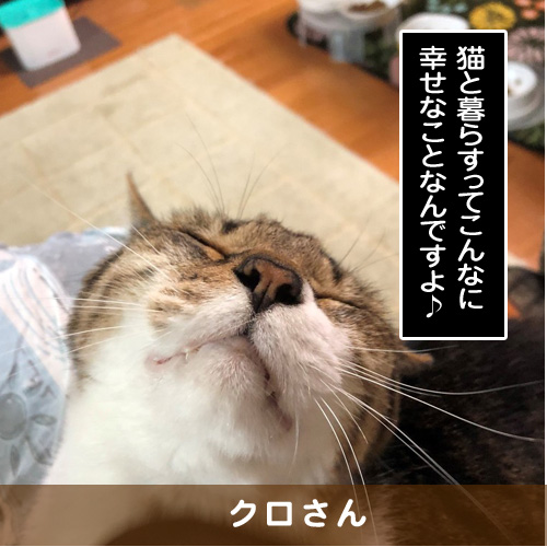 20181015_touko.jpg