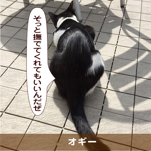 20181016_touko.jpg