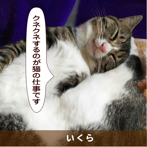 20181017_touko.jpg
