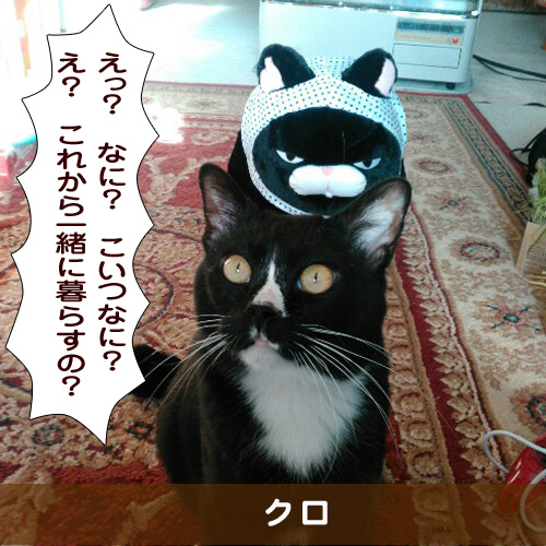 20181022_touko.jpg
