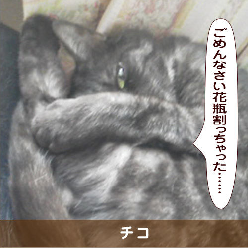 20181025_touko.jpg