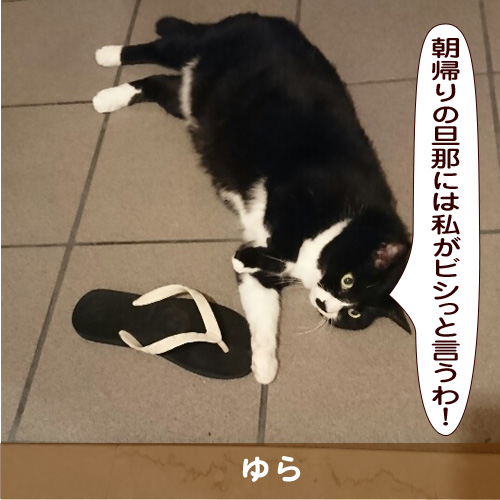 20181027_touko.jpg