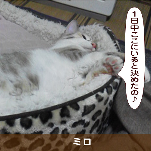 20181028_touko.jpg