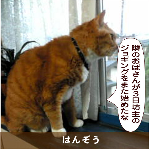 20181029_touko.jpg