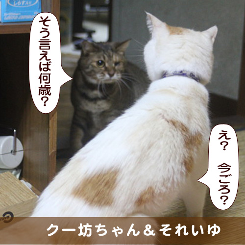 20181030_touko.jpg