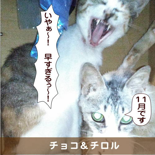20181031_touko.jpg