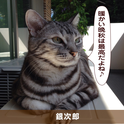 20181102_touko.jpg