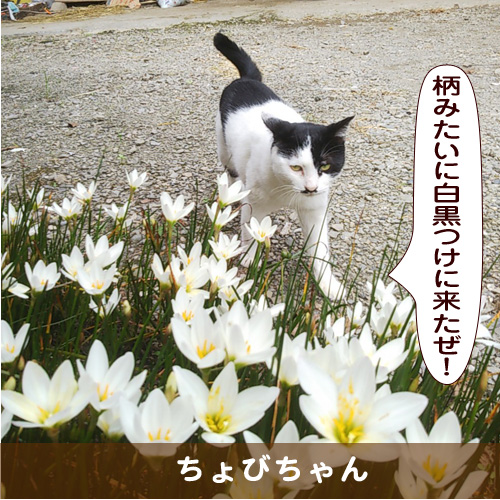 20181106_touko.jpg
