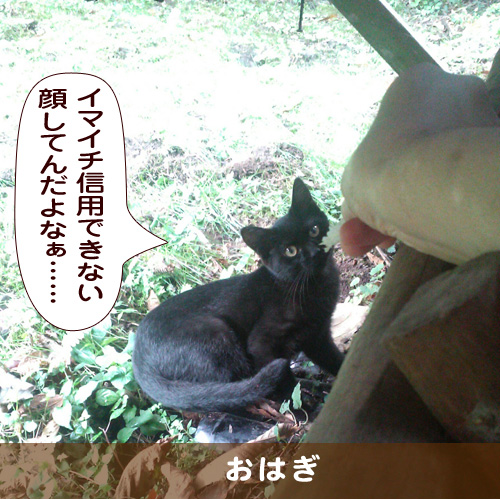 20181108_touko.jpg