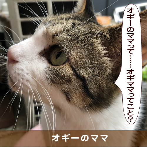 20181109_touko.jpg