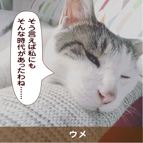 20181110_touko.jpg