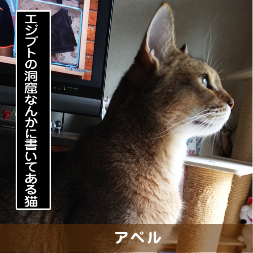 20181111_touko.jpg