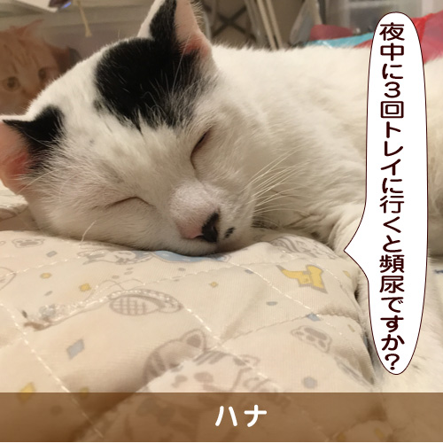 20181112_touko.jpg