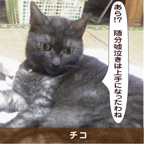 20181116_touko.jpg