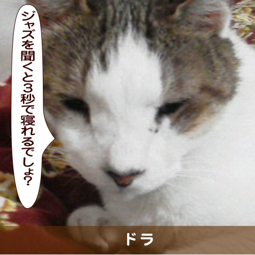 20181117_touko.jpg