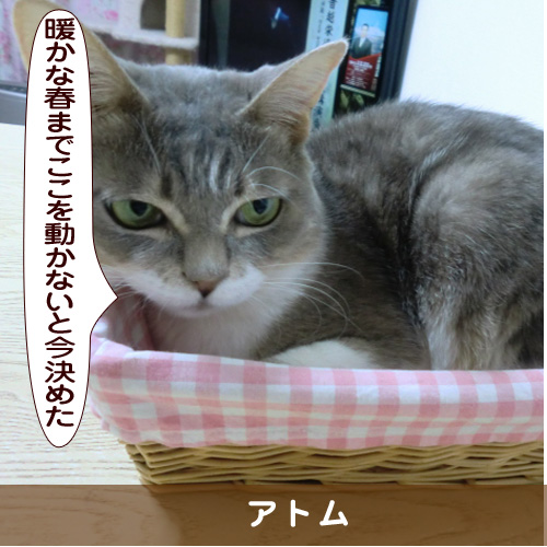 20181120_touko.jpg