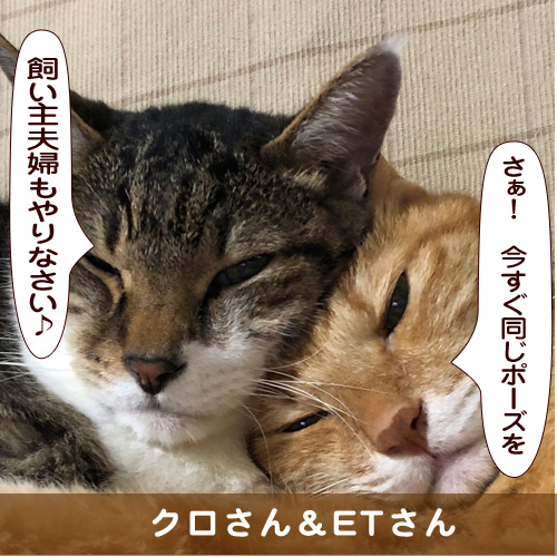 20181121_touko.jpg