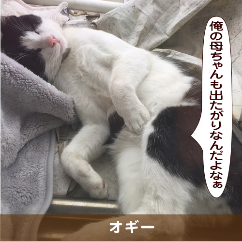 20181125_touko.jpg