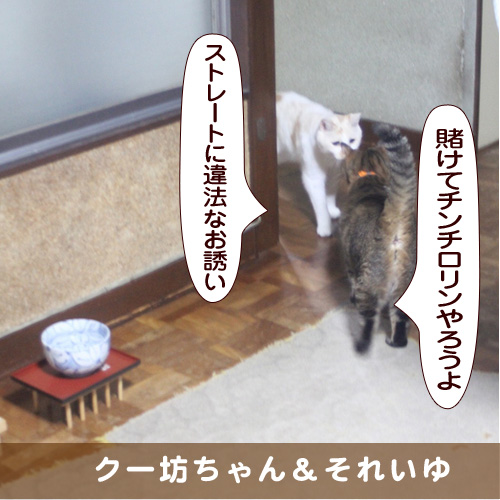 20181126_touko.jpg
