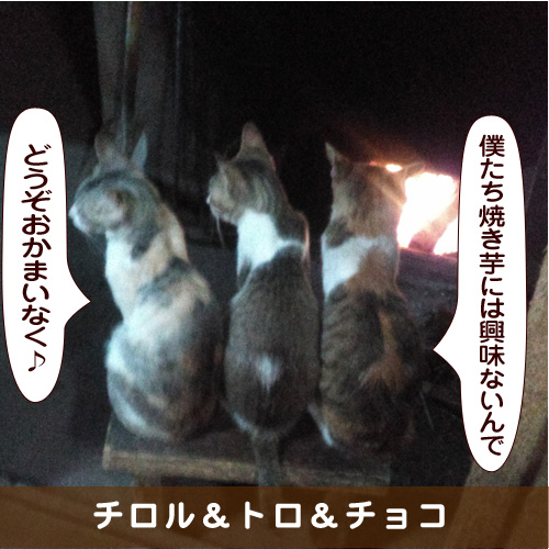 20181128_touko.jpg