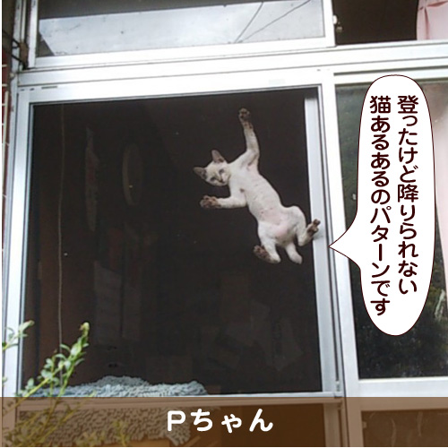 20181129_touko.jpg