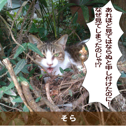 20181130_touko.jpg