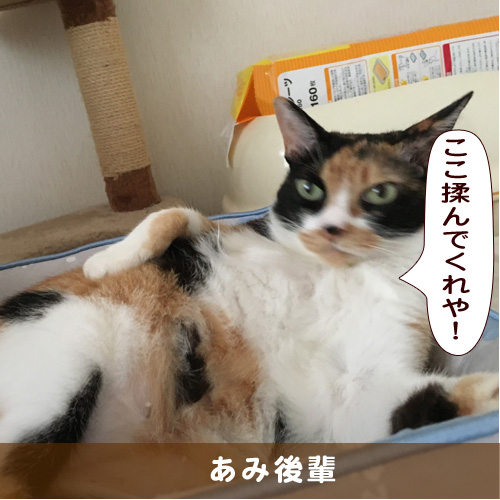 20181203_touko.jpg