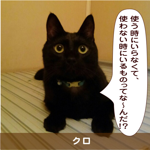 20181205_touko.jpg