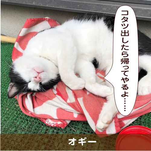 20181208_touko.jpg