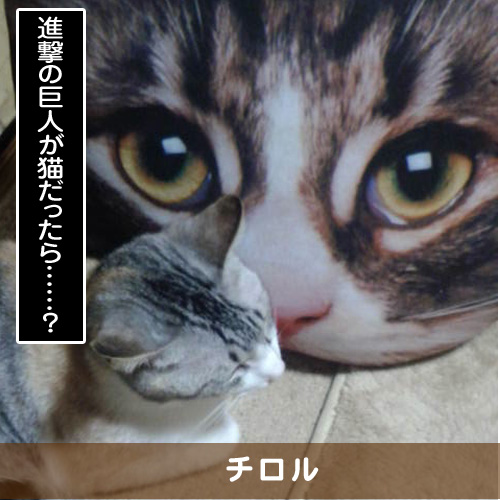 20181209_touko.jpg