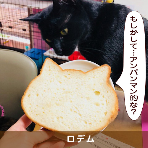 20181213_touko.jpg