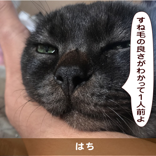 20181214_touko.jpg