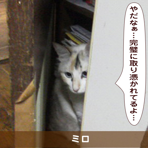 20181216_touko.jpg