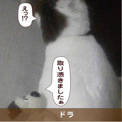 20181217_touko.jpg
