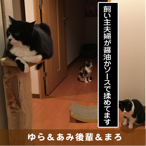 20181223_touko.jpg