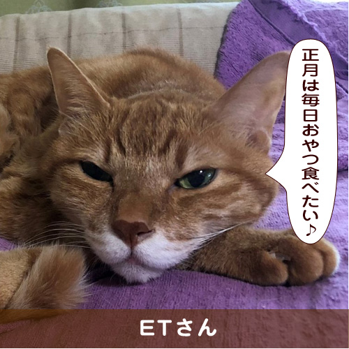 20190102_touko.jpg