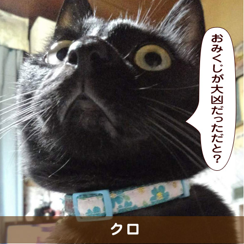 20190104_touko.jpg