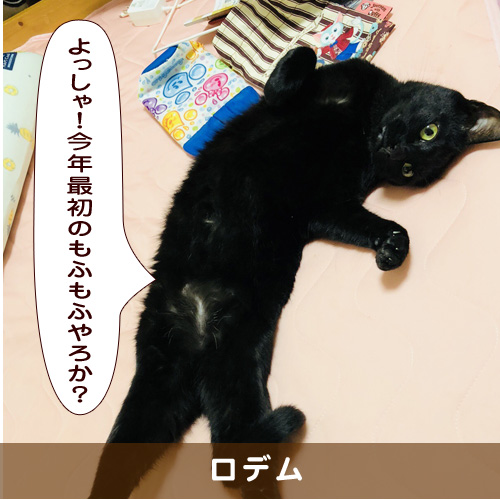 20190105_touko.jpg