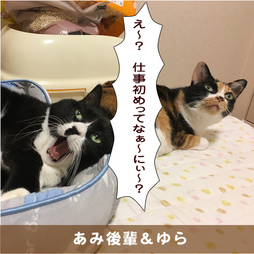 20190107_touko.jpg