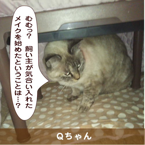20190108_touko.jpg