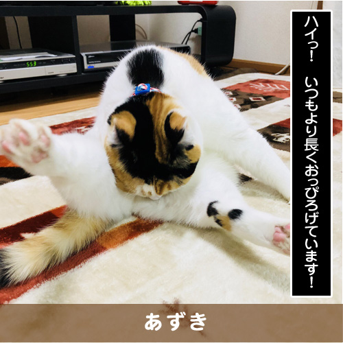 20190109_touko.jpg