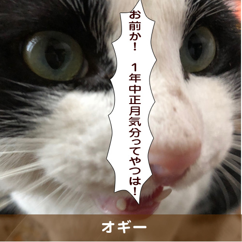 20190110_touko.jpg