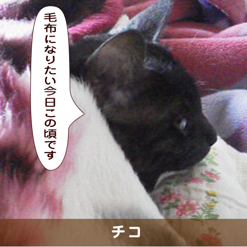 20190111_touko.jpg