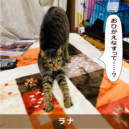 20190114_touko.jpg