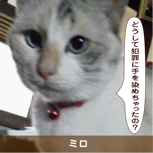 20190115_touko.jpg