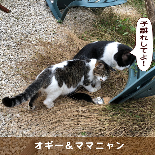 20190116_touko.jpg