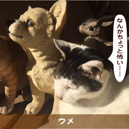 20190119_touko.jpg